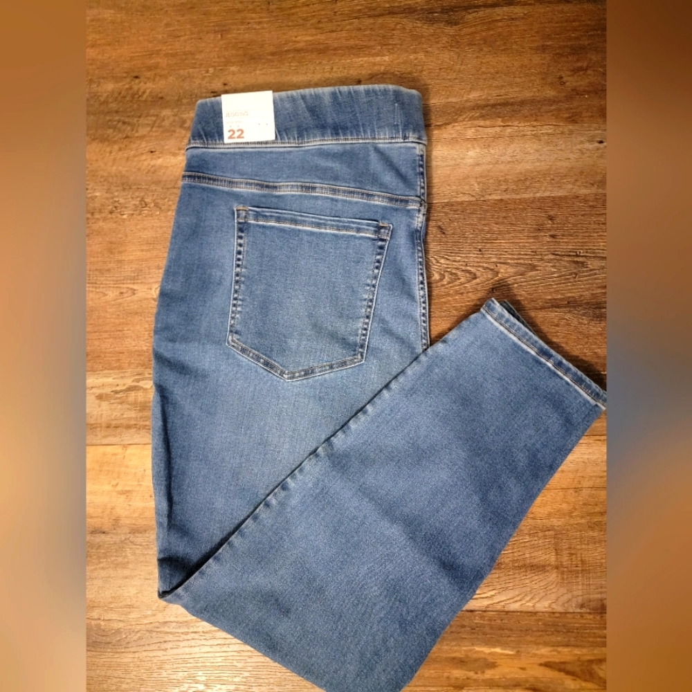 NWT Sz 22 Lane Bryant Jeggings